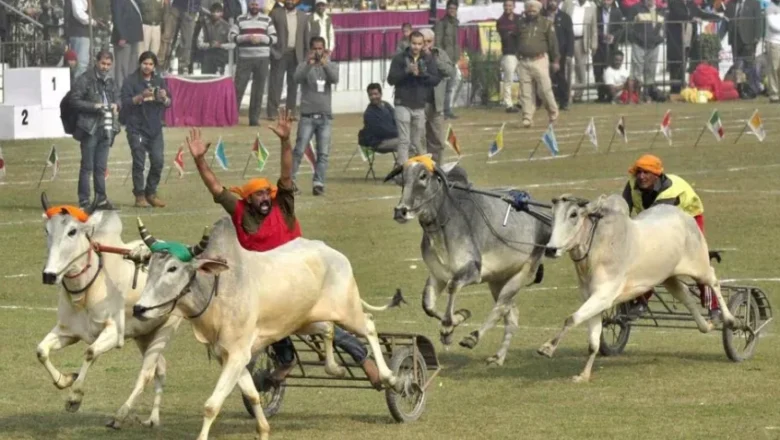 ਕਿਲ੍ਹਾ ਰਾਏਪੁਰ ਖੇਡਾਂ 30 ਜਨਵਰੀ ਤੋਂ, ਬੈਲ ਗੱਡੀ ਦੌੜਾਂ ਦੀ ਹੋਵੇਗੀ ਵਾਪਸੀ