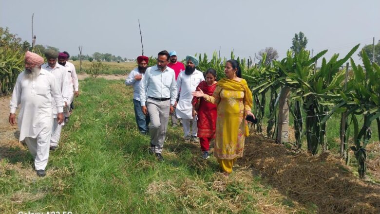 ਪੰਜਾਬ ਵਿੱਚ ਨਾਬਾਰਡ ਵੱਲੋਂ ਵਿੱਤੀ ਸਹਾਇਤਾ ਪ੍ਰਾਪਤ ਪ੍ਰੋਜੈਕਟ ਹੇਠ ਕਿਸਾਨਾਂ ਲਈ ਇੱਕ ਐਕਸਪੋਜ਼ਰ ਦੌਰਾ