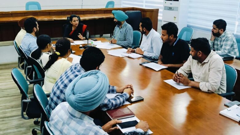 ਡੀਸੀ ਨਵਜੋਤ ਕੌਰ ਨੇ ਚਿੱਟੀ ਮੱਖੀ ਦੀ ਅਗਾਊਂ ਰੋਕਥਾਮ ਲਈ ਮੁਹਿੰਮ ਚਲਾਉਣ ਸਬੰਧੀ ਵਿਭਾਗਾਂ ਨੂੰ ਕੜੀਆਂ ਹਦਾਇਤਾਂ ਕੀਤੀਆਂ ਜਾਰੀ
