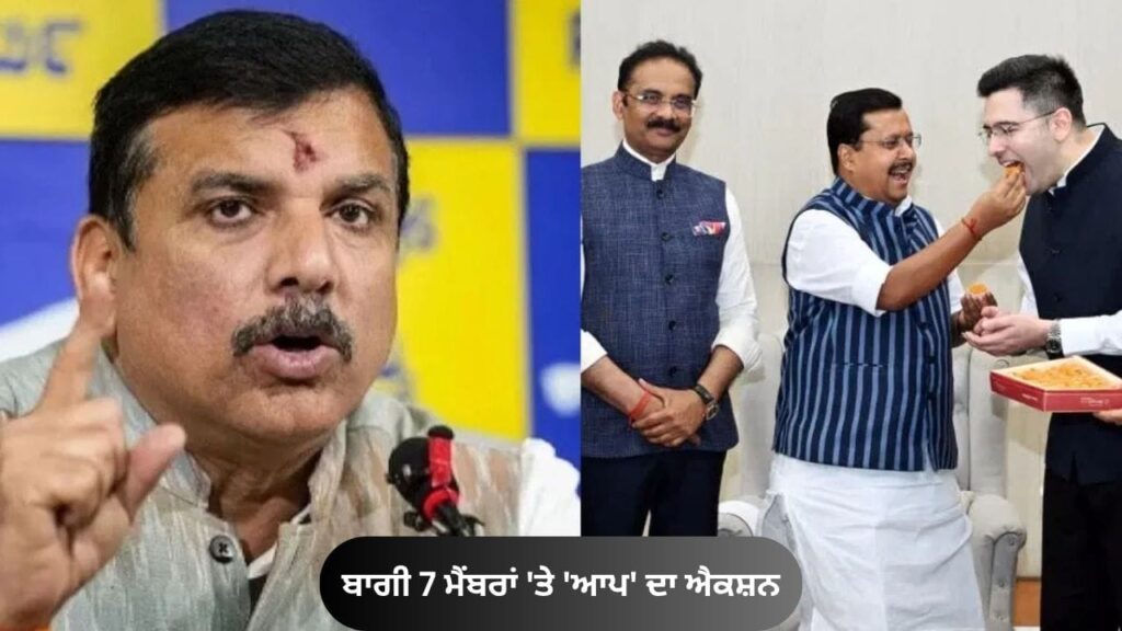AAP 7 MPs resign
