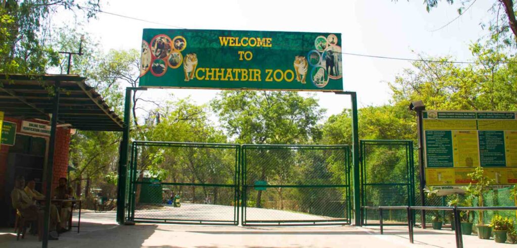 Chhatbir Zoo 1024x491