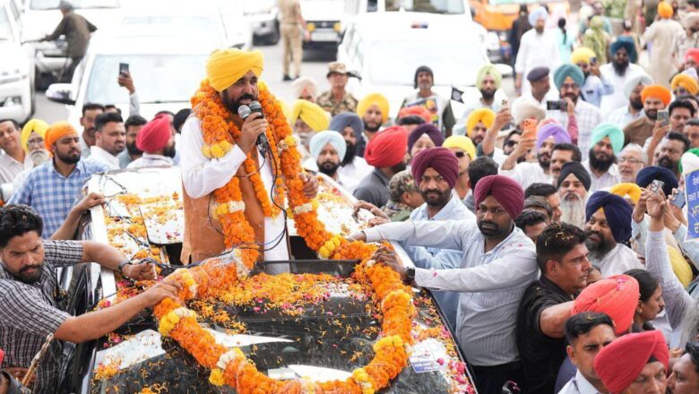 700 ਕਿਸਾਨਾਂ ਦੀਆਂ ਮੌਤਾਂ ਲਈ ਭਾਜਪਾ ਜ਼ਿੰਮੇਵਾਰ, ਕੇਂਦਰ ਦੇ ਫੈਸਲੇ ਪੰਜਾਬ ਖ਼ਿਲਾਫ਼- ਸੀਐਮ ਮਾਨ