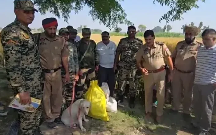 ਫਿਰੋਜ਼ਪੁਰ ’ਚ BSF ਅਤੇ ਪੰਜਾਬ ਪੁਲਿਸ ਦੀ ਵੱਡੀ ਕਾਰਵਾਈ, 70 ਕਰੋੜ ਰੁਪਏ ਦੀ 10.257 ਕਿਲੋ ਹੈਰੋਇਨ ਬਰਾਮਦ